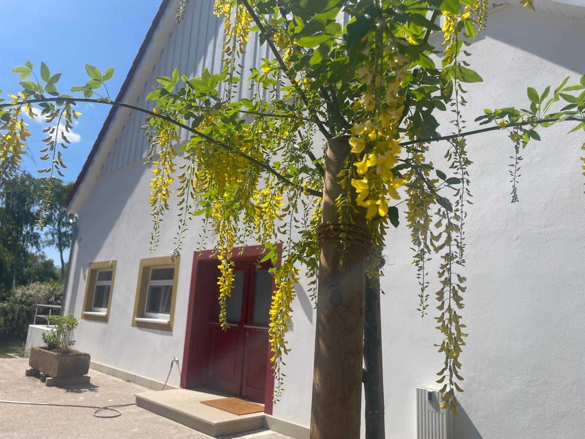 Appartement Mit 2 Schlafzimmern Und Terrasse Halle Kültér fotó